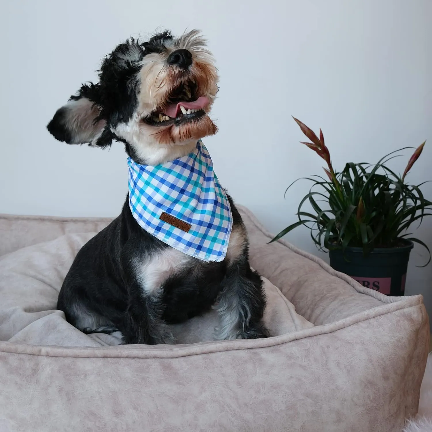 Summer Dog Bandana, Comfortable Cotton Grid Triangle Bid Scarf for Medium Large Dog, Washable Pet Kerchief for Boy Girl Dogs, Blue and White Cute Bandana Dog, Cute Classic Dog Bid Scarf